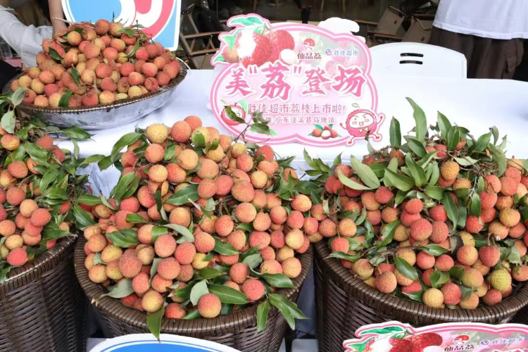 微信图片_2025-12-25_231635_089.png