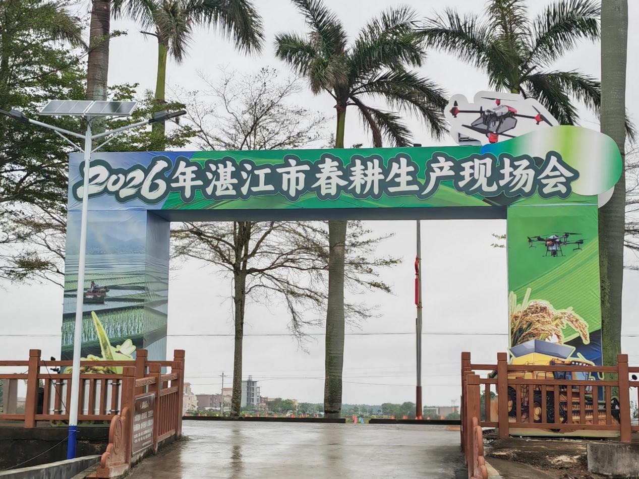 图片4.jpg