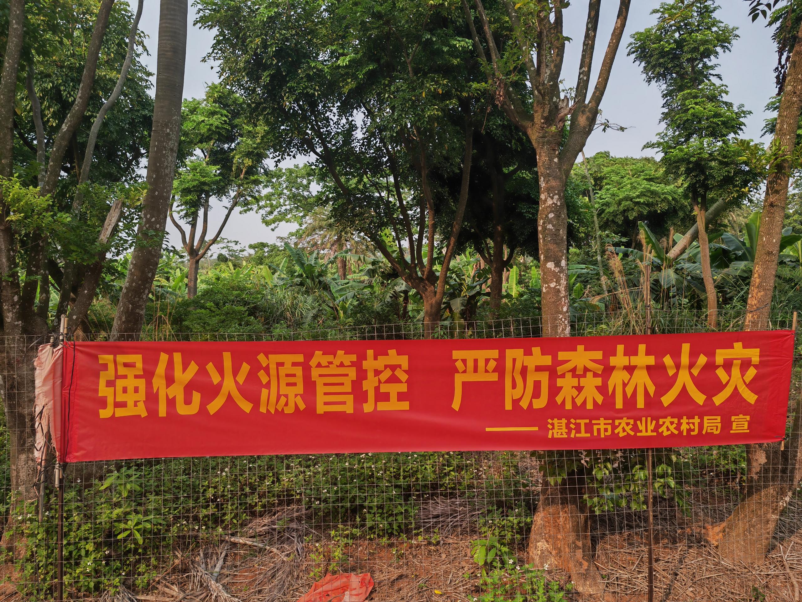 图片1.jpg